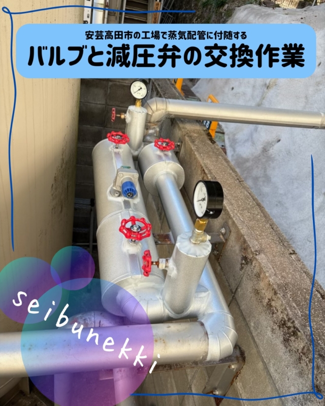 2025.12.10

今回は、安芸高田市の工場で蒸気配管に付随する、バルブと減圧弁の交換作業を行ってきました。

弊社では、蒸気配管に携わる事は少ないですが、教わった事を忠実に実施し交換作業を終えました。

蒸気を通気し漏洩確認も問題ありませんでした。

ボルトの増し締めした後、保温工事は別業者さんに依頼して綺麗に仕上げてもらいました。

季節が変わり朝晩と冷えてきてます。
体調に気をつけて、頑張っていきたいと思います。

EDH事業部　技術課
技術係　　林龍巳

#ガス #広島  #求人募集中  #職人 #西部熱機株式会社 #建設業を盛り上げよう